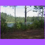 Nature Trail - UNF 3.jpg